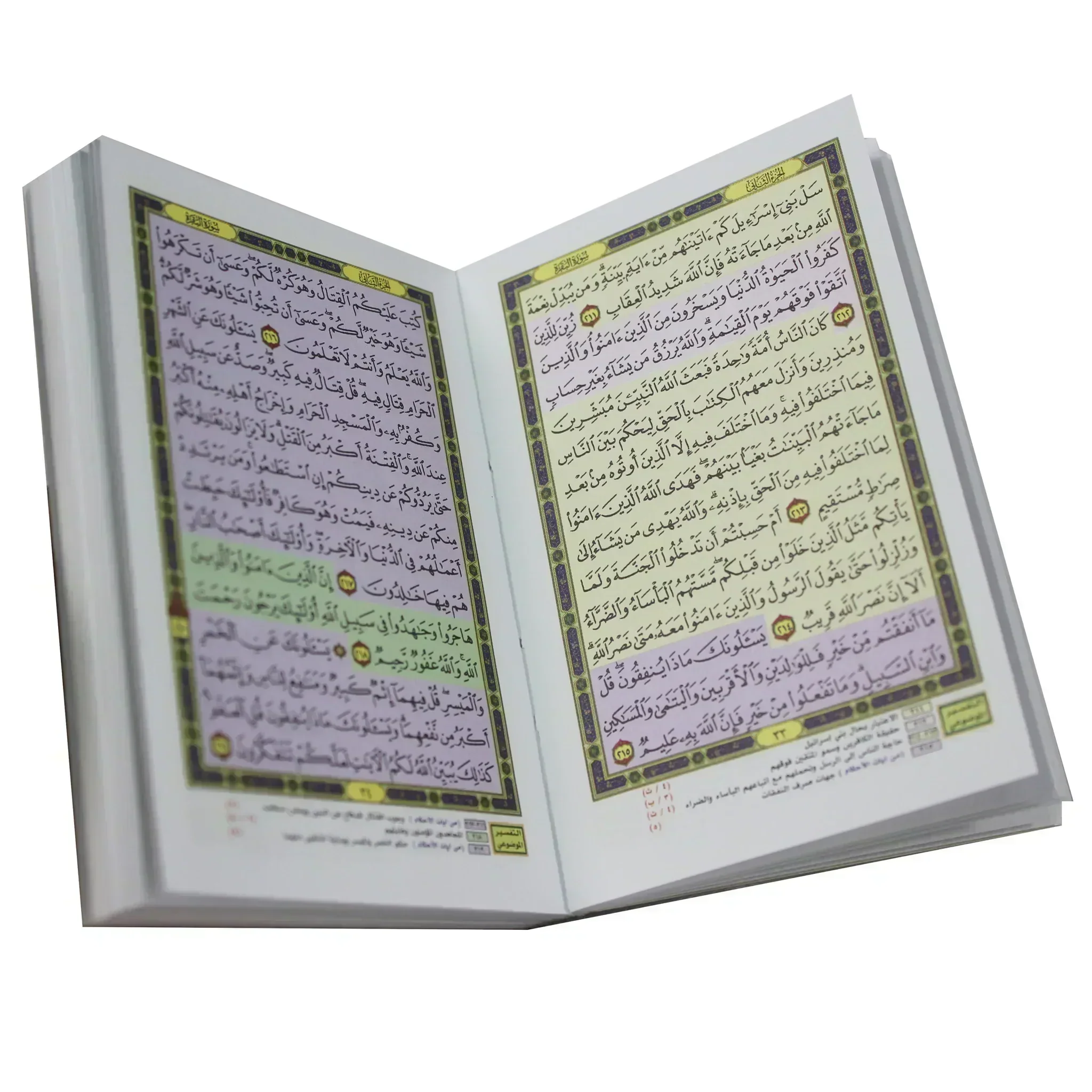 صورة مصغرة 2