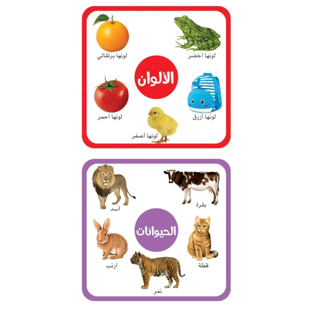 لعبة تمساحي للتعليم المبكر - Image 7