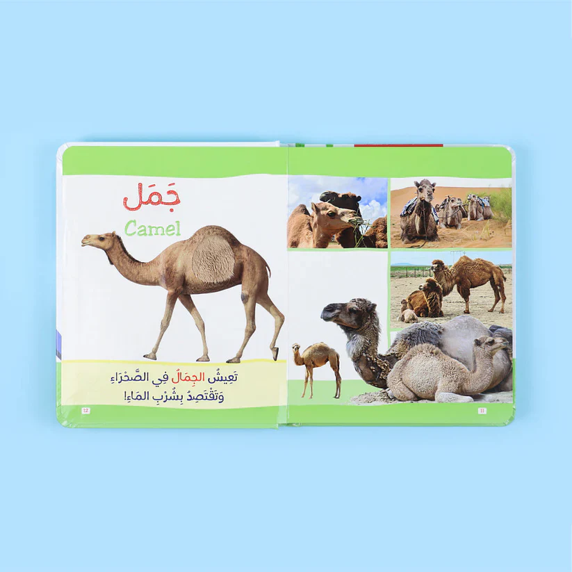 كتاب مونتيسوري الأول - الحيوانات باللمس - Image 2