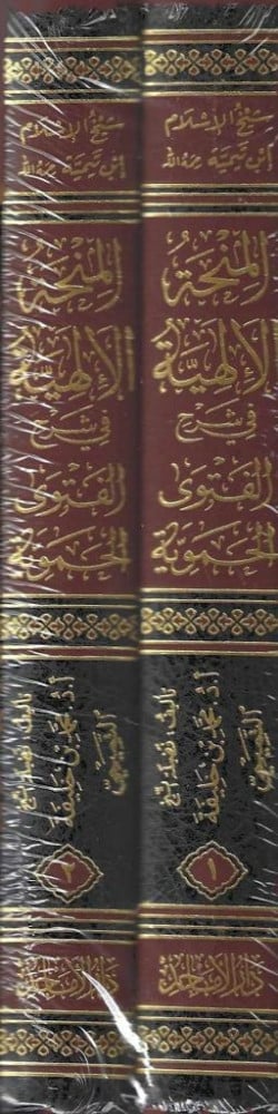 المنحة الإلهية في شرح الفتوى الحموية الكبرى 2 مجلد - Image 2