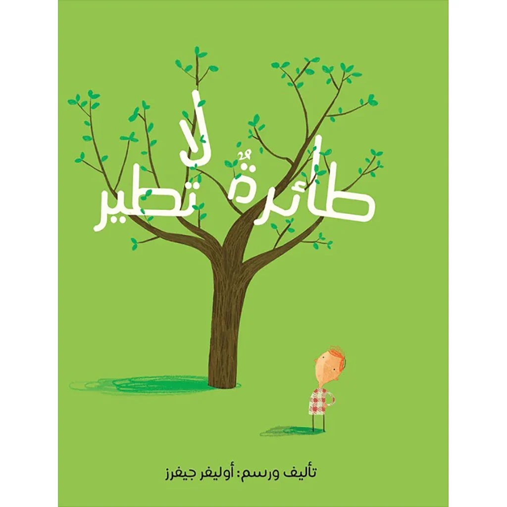 طائرة لا تطير