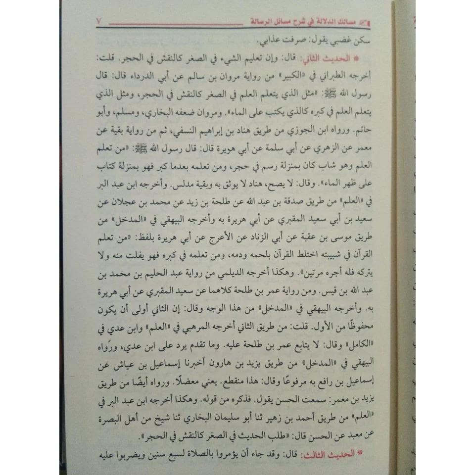 مسالك الدلالة في شرح مسائل الرسالة - Image 3