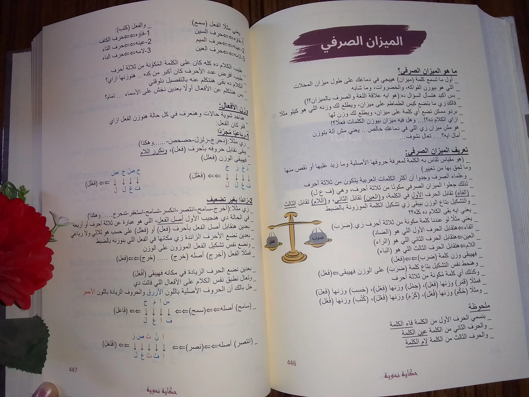 حكاية نحوية في النحو والصرف والإملاء - Image 2
