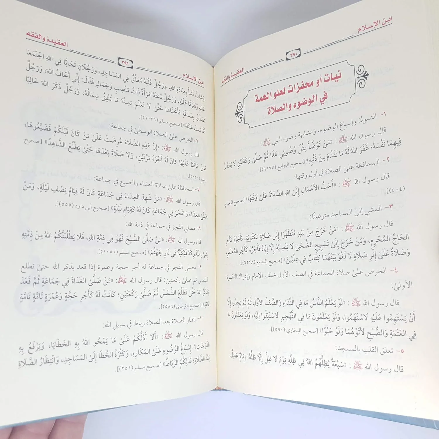 ما لا يسع المسلم جهله - Image 4