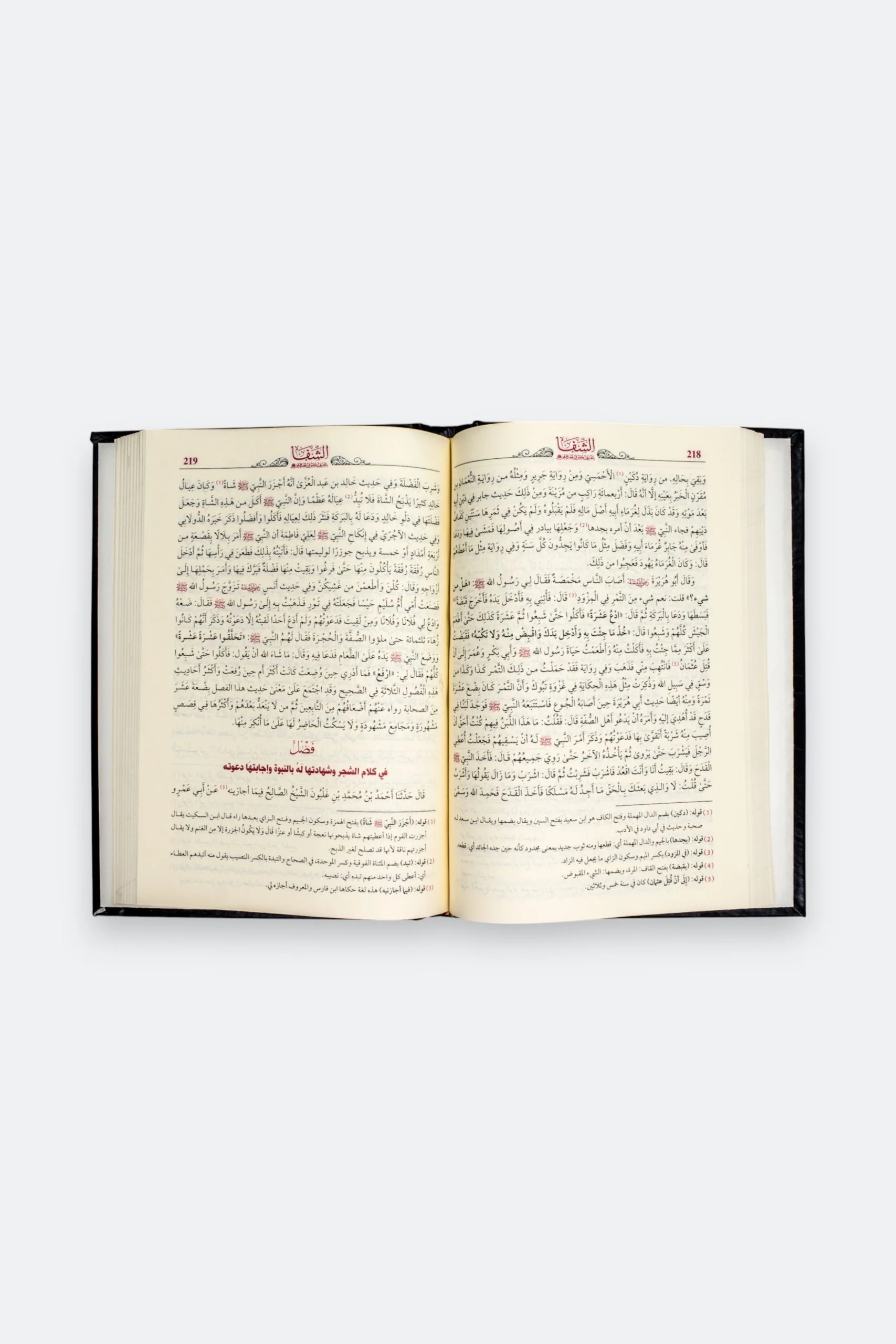 الشفاء بتعريف حقوق المصطفى - Image 6
