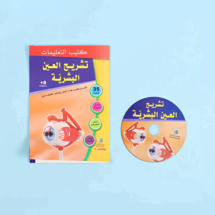 تشريح العين - Image 3
