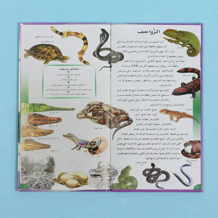 موسوعة العلوم التفاعلية 7 مجلدات + 7 سي دي - Image 18