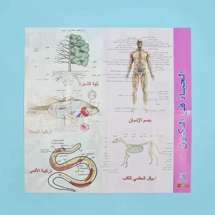 موسوعة العلوم التفاعلية 7 مجلدات + 7 سي دي - Image 20