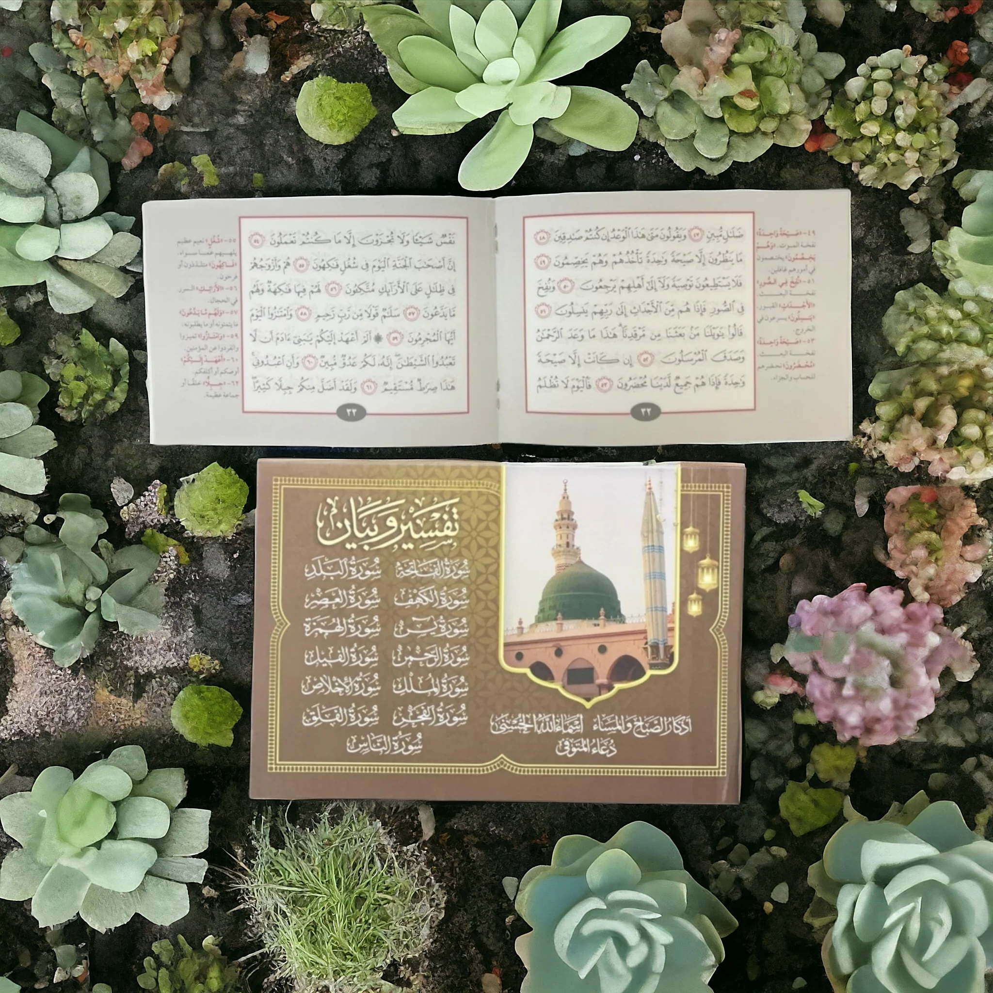 صورة مصغرة 2