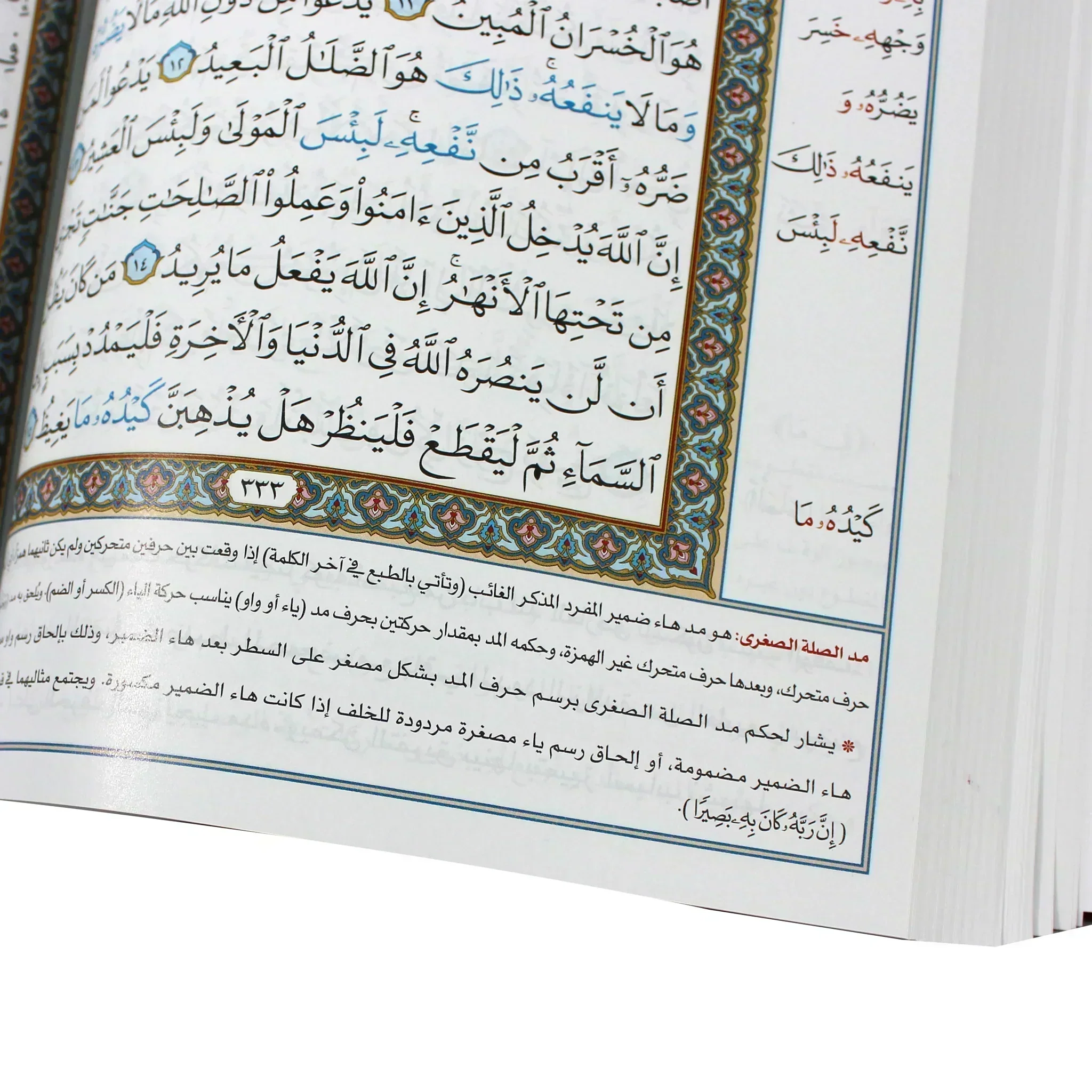مصحف ضبط التجويد مقاس 17*24 سم - Image 3