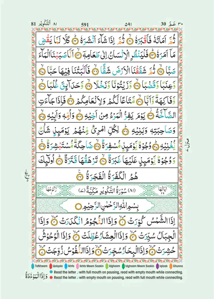 قواعد التجويد الملونة للقرآن الكريم - 7 سم × 10 سم - حجم الجيب (15 سطرًا 147 سم) - Image 6