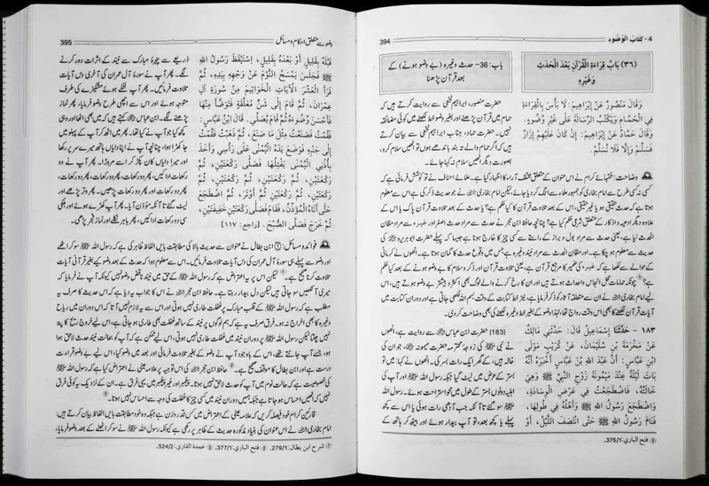 هداية القاري شرح صحيح البخاري - 10 بلس - Image 2
